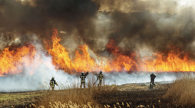 A group of firefighters work to control a large wildfire engulfing a grassy field.