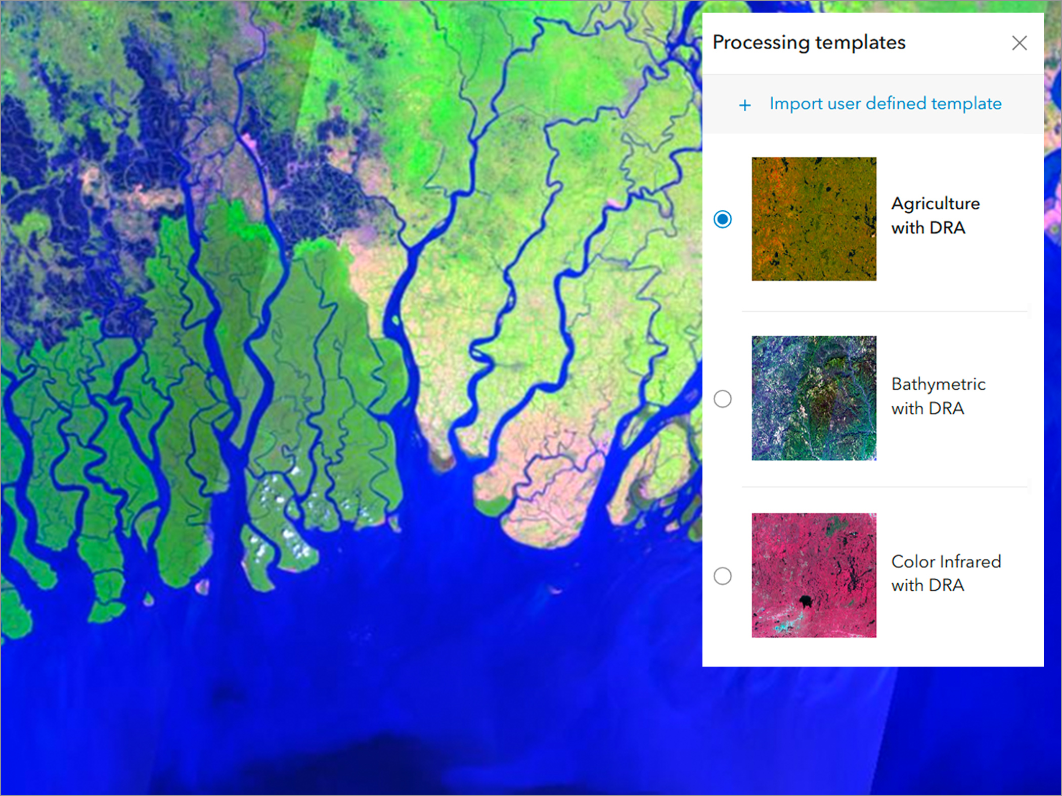 An interface showing imagery of a coastal and delta area with a panel offering different processing template options such as agriculture, bathymetric, and color infrared