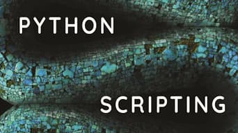 Grafica blu e nera dietro un testo che recita:«Scripting di Python». 