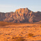 A desert landscape bathed in golden light