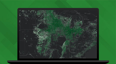Grafica di un monitor laptop che mostra una mappa della vegetazione in verde e nero su sfondo verde
