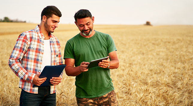 Foto di due persone vestite in modo casual che discutono di un tablet tenuto da uno di loro, in piedi in un campo di grano dorato