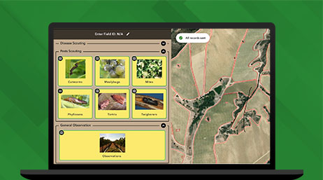 Grafica del monitor di un laptop che mostra una dashboard con una foto aerea di un terreno agricolo insieme ai relativi dati immagine