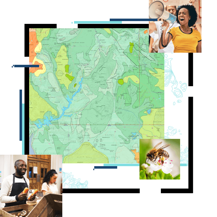 Mappa verde, donna con un megafono, persona che distribuisce bevande, un'ape